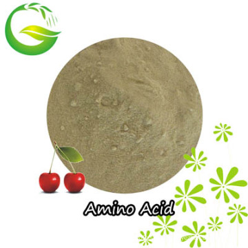Organic Amino Acid Fertilizer with Competitive Price